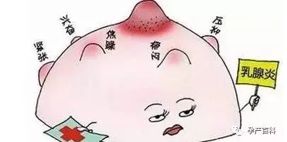 哺乳期乳腺炎，慎用抗生素！
