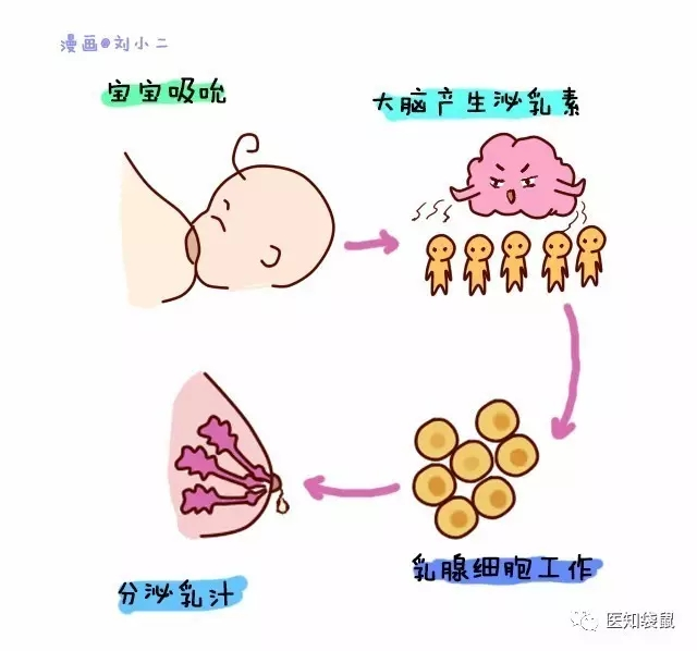 寶寶一哭就喂奶？