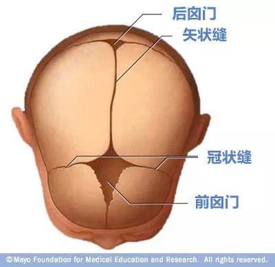 寶寶的囟門很重要，出現(xiàn)這3種異常要當心！