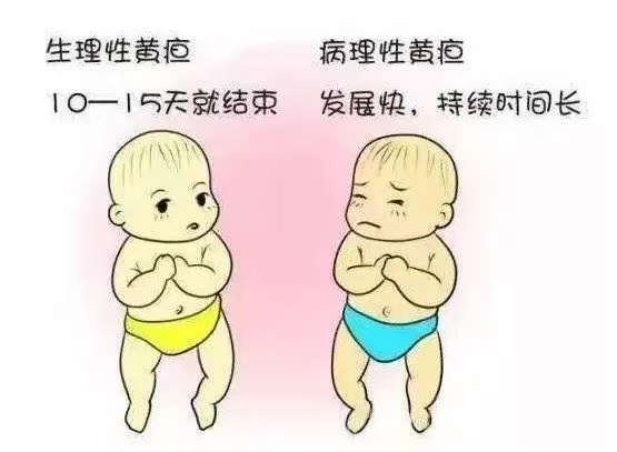 新生兒常見10種生理現(xiàn)象與7大護理要點！月嫂上崗前必讀！