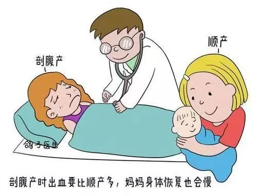 月子飲食全指南：科學搭配，助力產后恢復